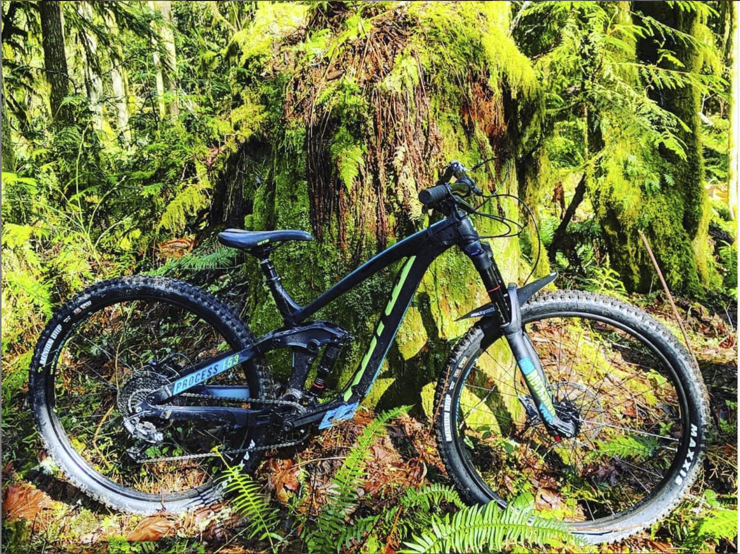 Kona Process 153: A mountain bike leaning against a large, moss-covered tree in a lush, green forest. Ferns and fallen leaves surround the bike, highlighting the natural setting. Sunlight filters through the trees, creating a vibrant and serene atmosphere.