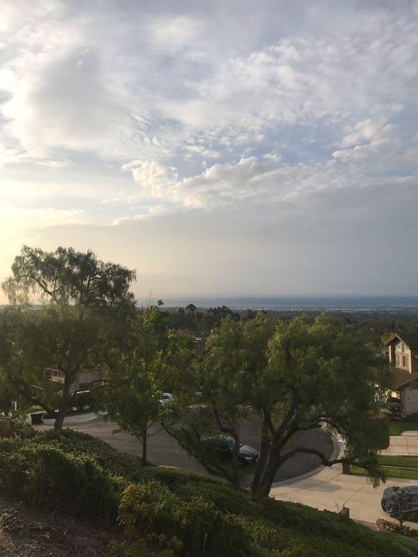 A scenic view from an elevated perspective, featuring lush trees and a residential area with houses lining a curved driveway. The sky is partly cloudy, showcasing soft hues of blue and gray, while the horizon extends into a distant landscape. Fullerton Loop mountain bike trail.