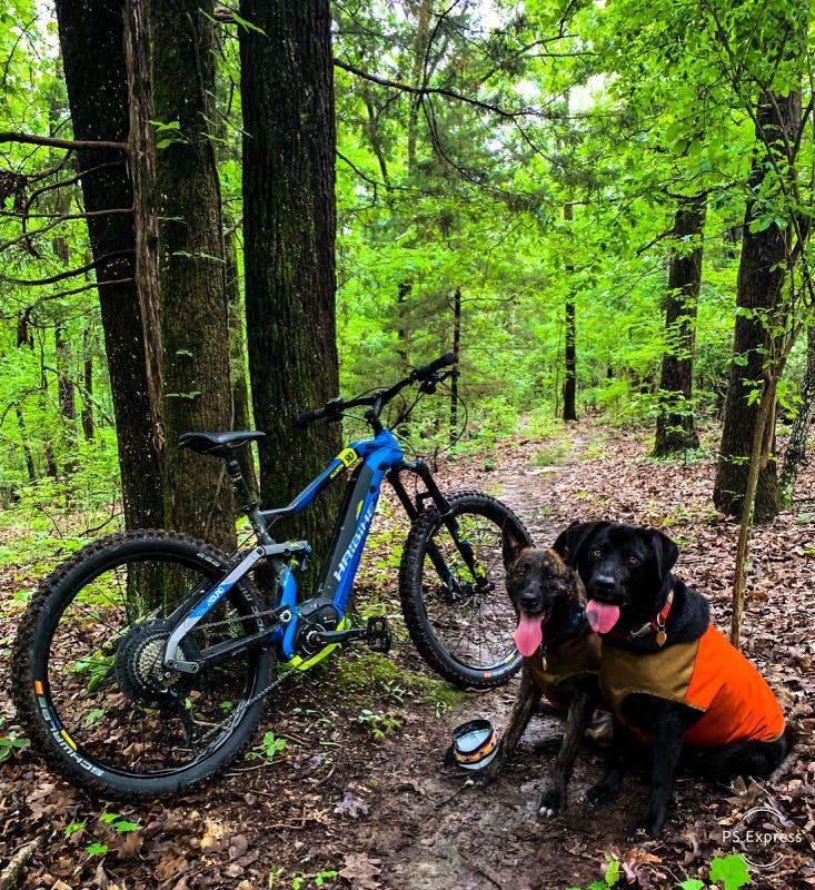 A blue mountain bike parked beside two dogs in colorful jackets, surrounded by lush green trees and a dirt path in a forest. The dogs are sitting and panting, enjoying the outdoor scenery. Clear Creek mountain bike trail.