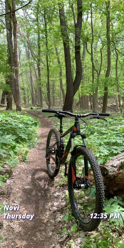 A mountain bike stands on a dirt trail surrounded by lush green foliage and tall trees in a forest. The sunlight filters through the leaves, creating a serene outdoor atmosphere, with the date and time displayed in the corner. Novi Tree Farm (Lakeshore Park) mountain bike trail.