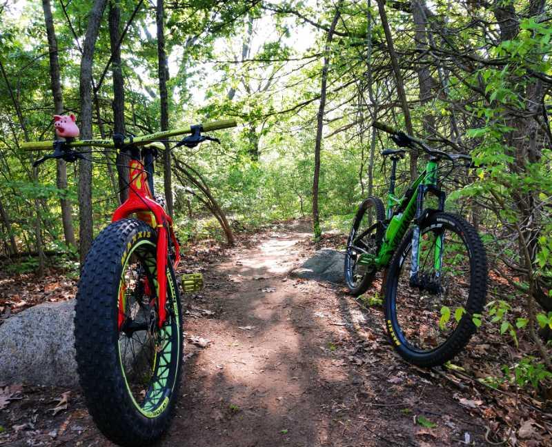 Two mountain bikes positioned on a dirt path in a wooded area. The bike on the left is red with large, knobby tires and features a playful pink pig figurine on the handlebars. The bike on the right is green and sleek, with a dirt trail visible ahead. The scene is surrounded by lush green foliage and sunlight filtering through the trees. Hines Park Trail mountain bike trail.
