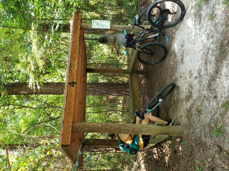 Two mountain bikers resting under a wooden shelter in a forested area. One person is seated with a bike nearby, while the other is standing next to their bike and looking at a trail map attached to the shelter. The surroundings are lush with trees and greenery. Reed Bingham State Park mountain bike trail.