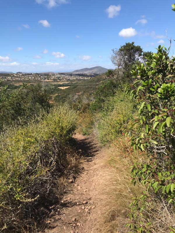 A scenic hiking trail winding through lush greenery, with a clear blue sky overhead and distant hills visible in the background. Los Penasquitos Canyon Preserve mountain bike trail.