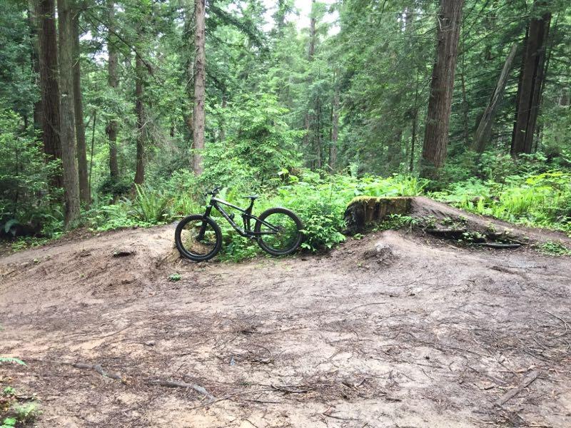A black mountain bike is parked next to a dirt path in a lush green forest, surrounded by tall trees and dense vegetation. A moss-covered log and a small dirt ramp are visible in the foreground. The scene conveys a natural outdoor environment suitable for biking. Arcata Community Forest mountain bike trail.