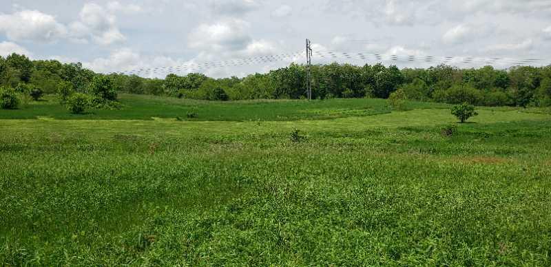 A wide view of a lush green field under a partly cloudy sky, featuring various shades of green vegetation and a few scattered trees. A power line tower is visible in the background, adding a hint of infrastructure to the serene landscape. Warnaar Trail mountain bike trail.