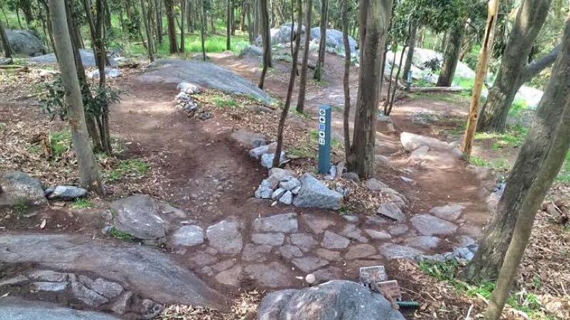 A forested area featuring a winding path made of stones and dirt, surrounded by trees and large rocks. A signpost with numbers stands along the trail, indicating directions or distances. The scenery is lush with greenery and fallen leaves scattered on the ground. Lysterfield Mountain Bike Area mountain bike trail.