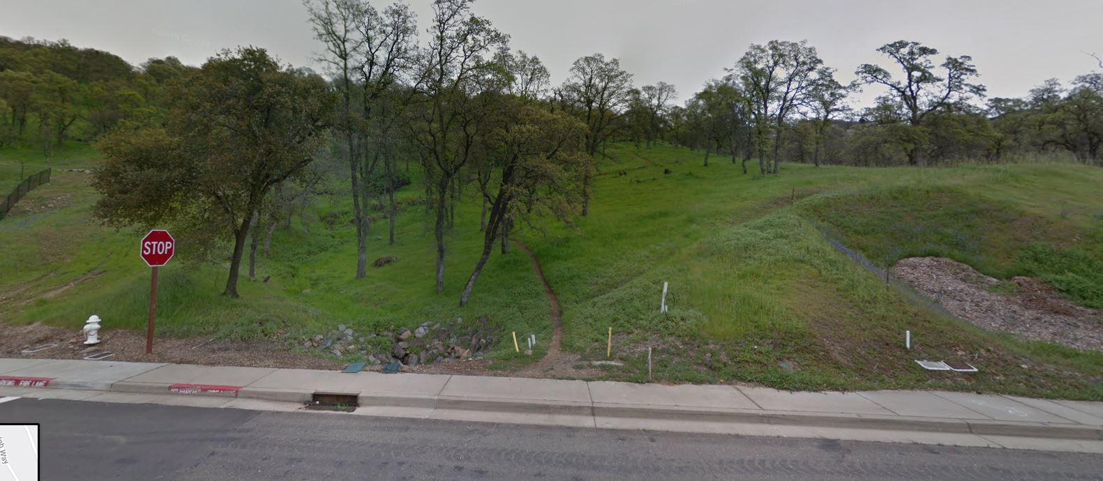 A grassy hillside with scattered trees, featuring a stop sign at the edge of a sidewalk. The scene includes a drainage area beside the sidewalk and a visible footpath leading up the slope. Prickly Brush Trail mountain bike trail.
