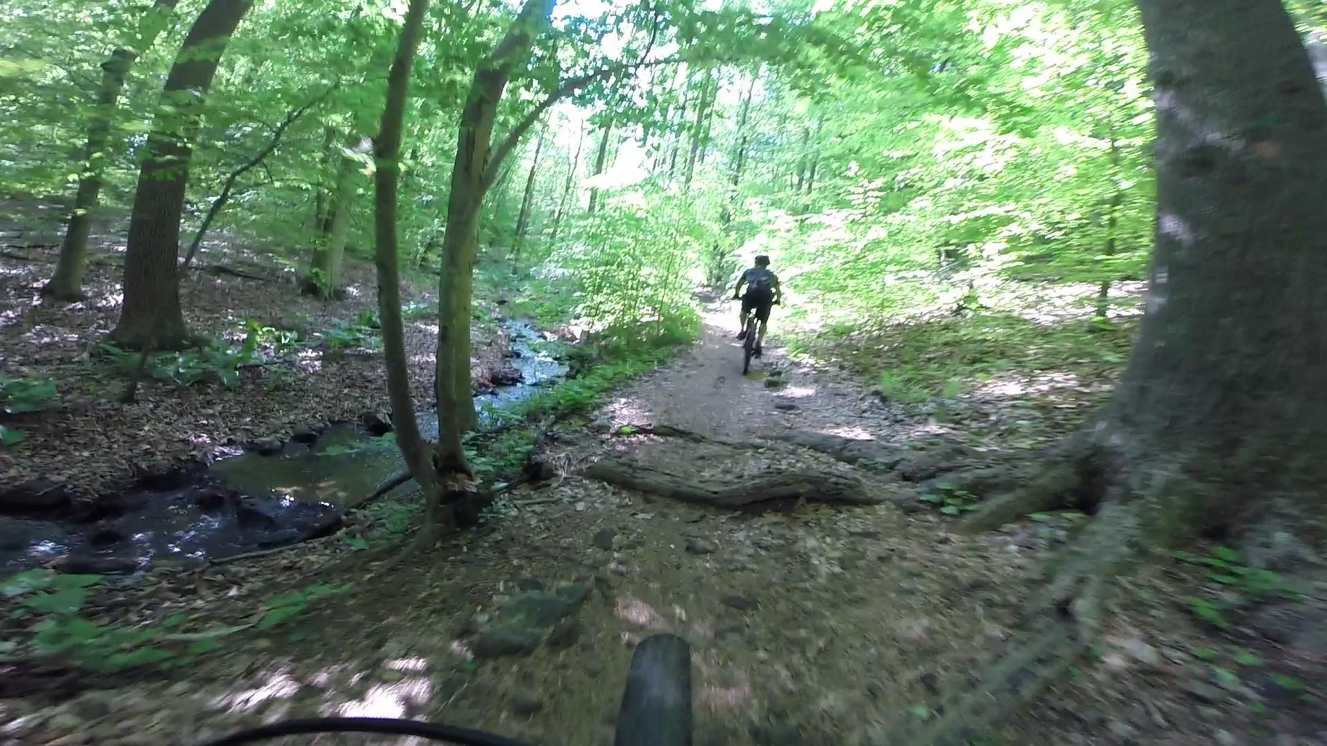 A cyclist riding on a narrow, dirt path surrounded by lush green trees and foliage, with a small creek visible on the left side of the trail. Sunlight filters through the leaves, creating a vibrant and inviting atmosphere in a wooded area. Lewis Morris mountain bike trail.