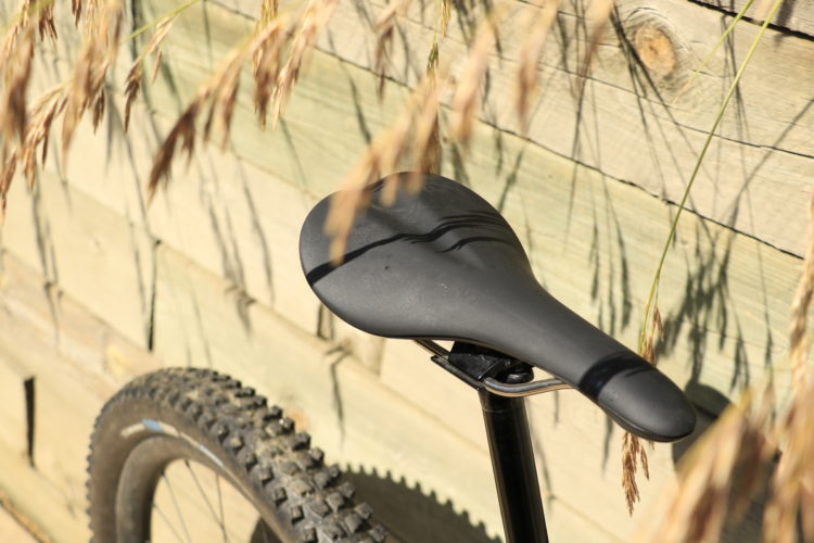 Comfortable Contact A Mountain Bike Saddle Roundup Singletracks Mountain Bike News