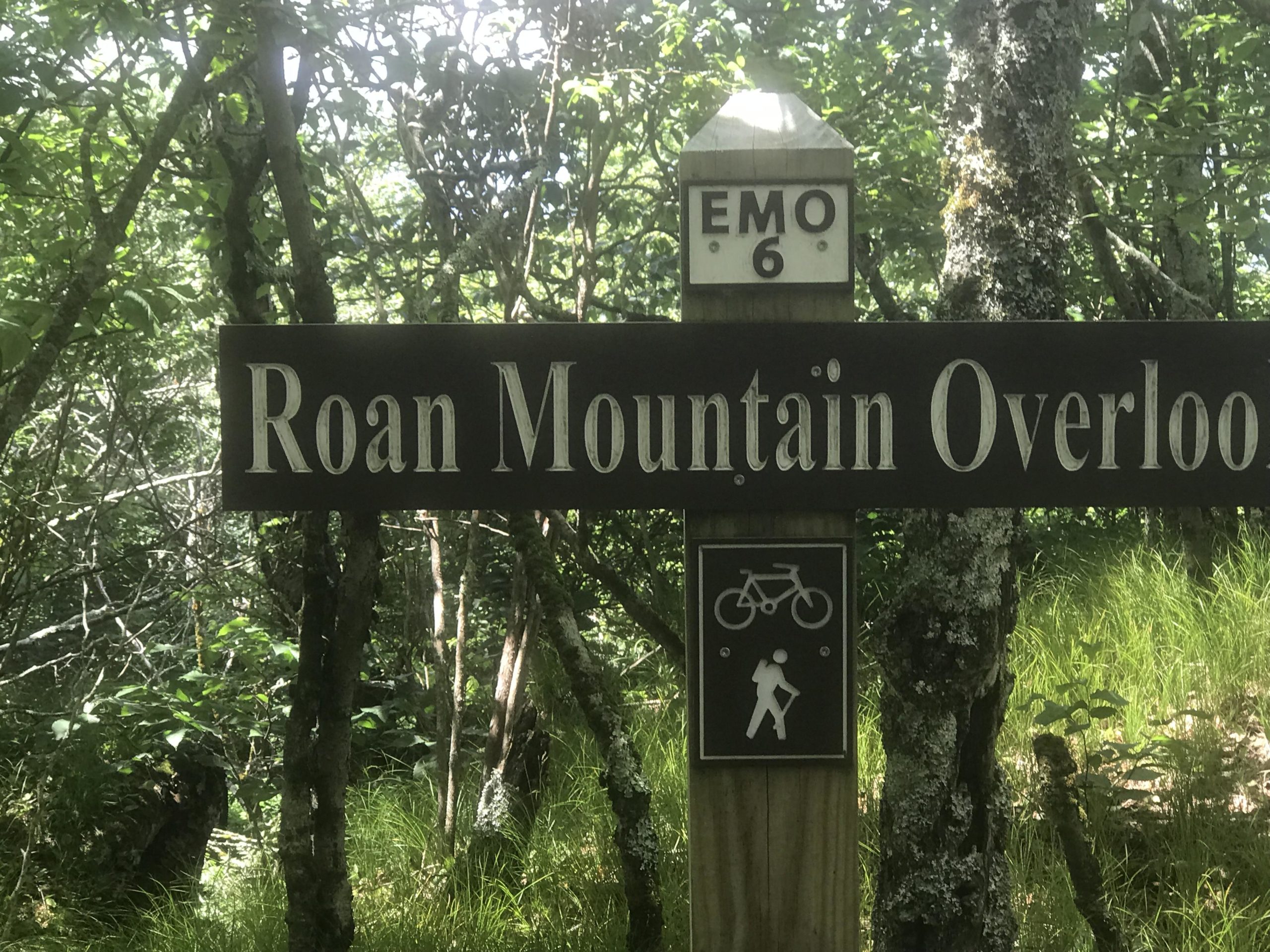 A wooden sign indicating "Roan Mountain Overlook" with an EMO 6 marker, surrounded by lush greenery. The sign features symbols for biking and hiking activities beneath the text. Emerald Outback mountain bike trail.