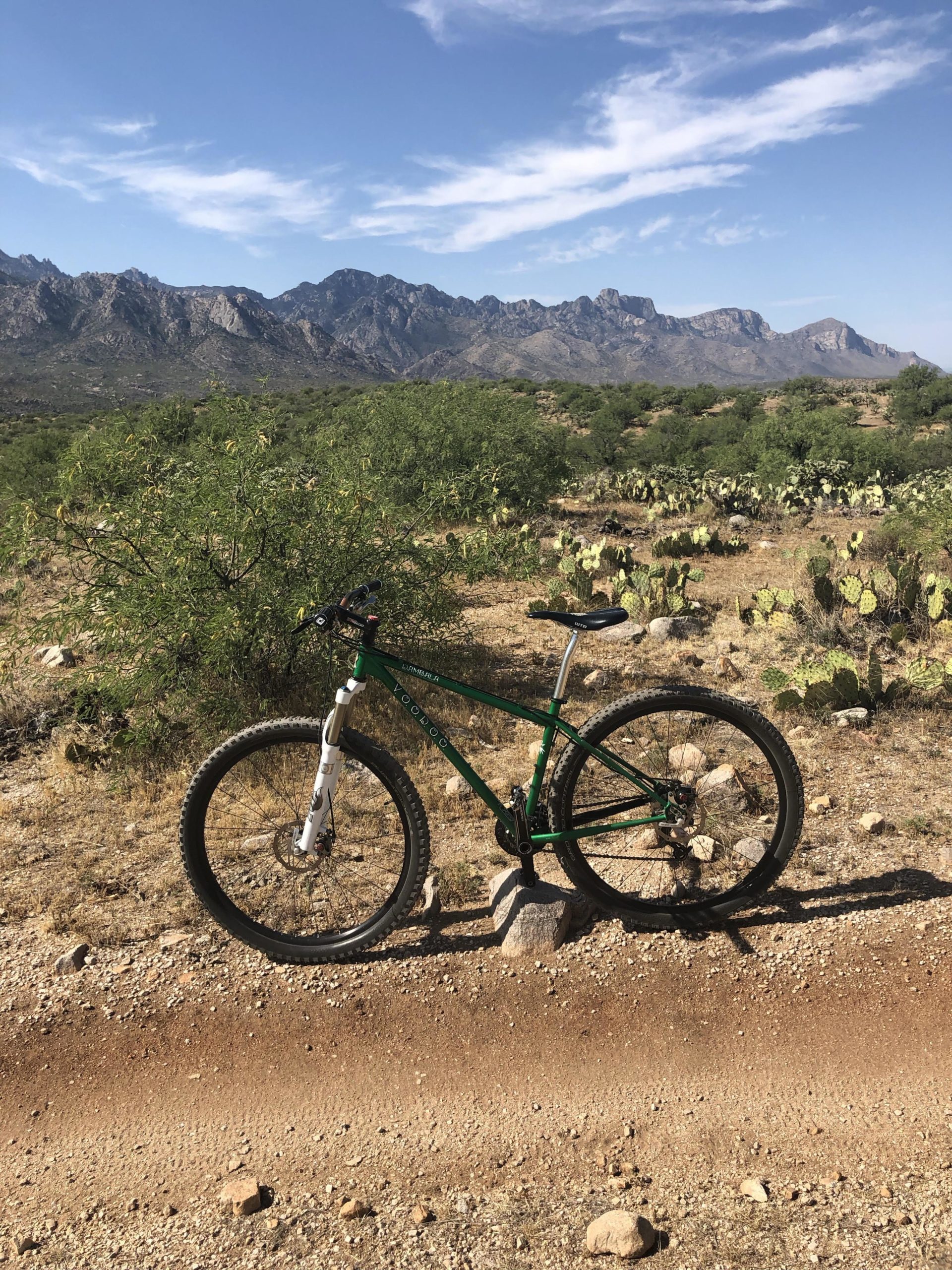 A green mountain bike parked on a dirt path in a desert landscape, featuring cacti and shrubs with rocky mountains in the background under a blue sky with scattered clouds. 50-year Trail / Golder Ranch mountain bike trail.
