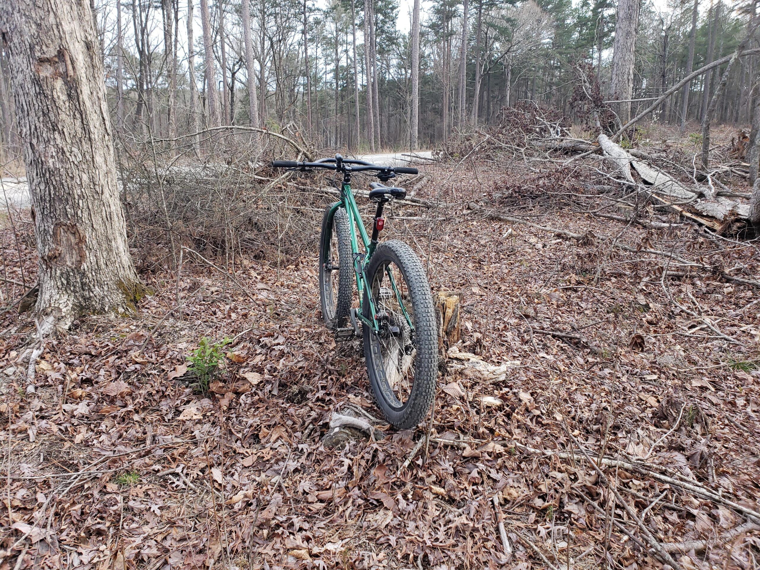 Surly Krampus: A mountain bike positioned on a forest floor covered with fallen leaves, beside a tree trunk. In the background, there are scattered branches and logs, indicating a natural landscape with signs of recent clearing or debris.