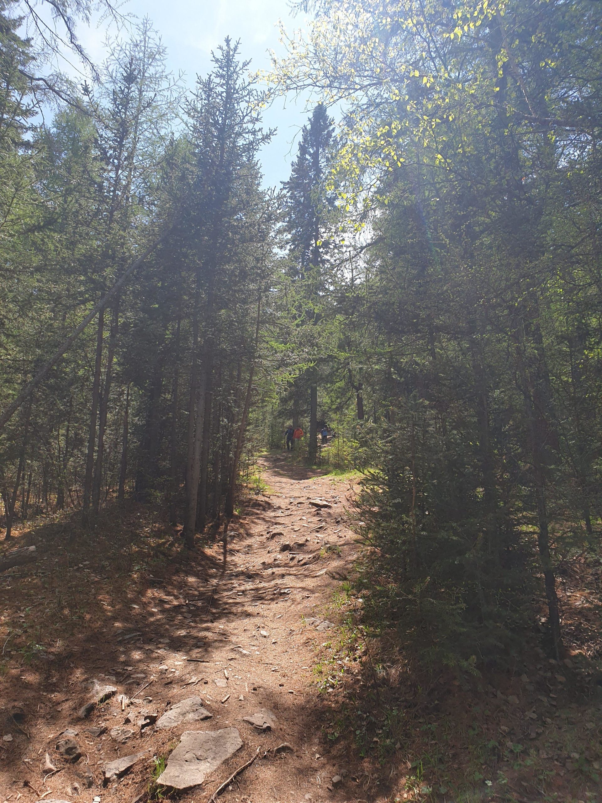 A dirt trail winding through a forest, surrounded by tall pine trees, with sunlight filtering through the leaves. In the distance, a couple of hikers are visible along the path. The ground is covered with rocks and pine needles, creating a natural, rustic atmosphere. Zaisan Chutes mountain bike trail.