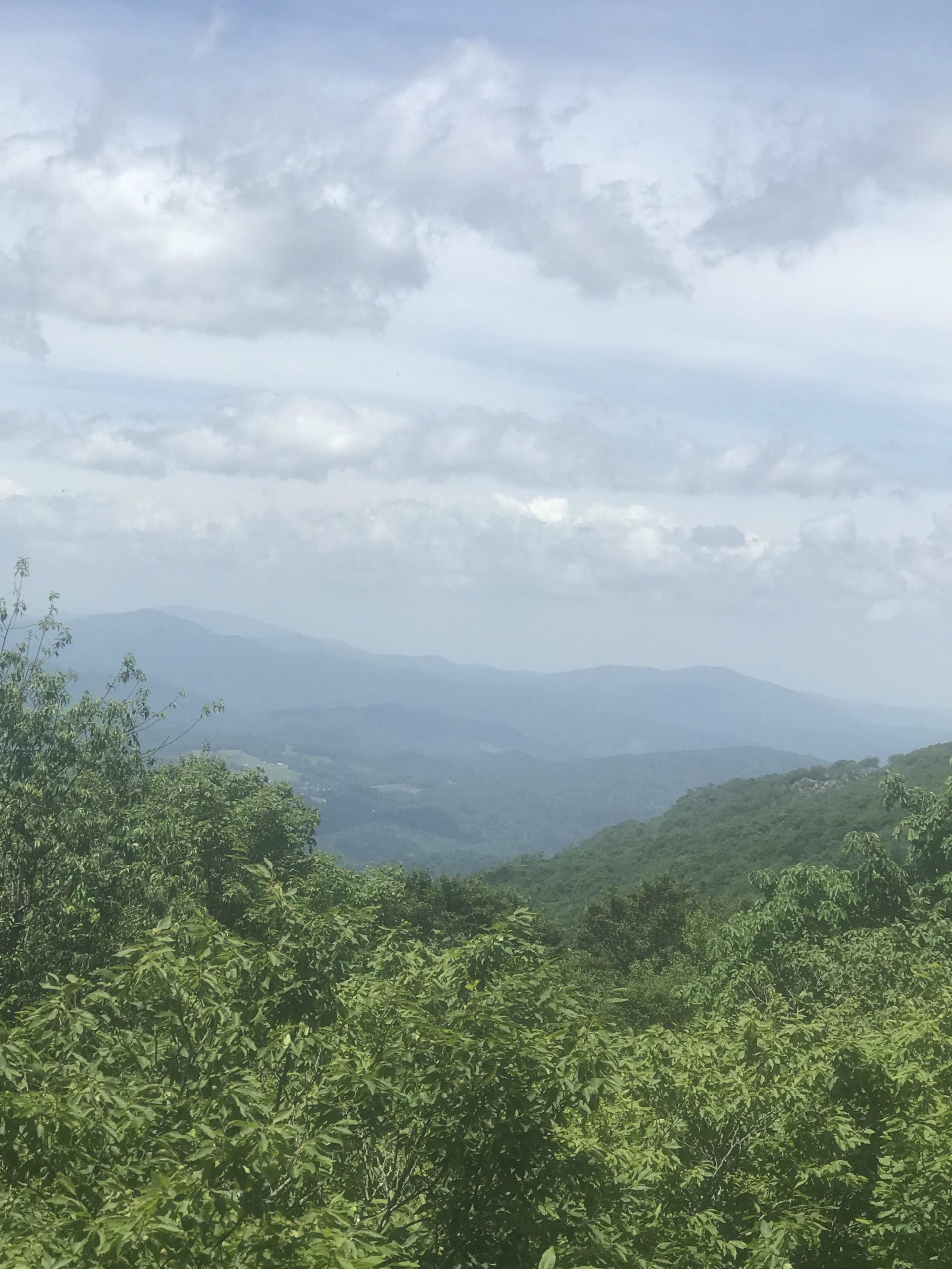 Scenic view of green mountains under a cloudy sky, with layers of rolling hills in the background and lush foliage in the foreground. Emerald Outback mountain bike trail.