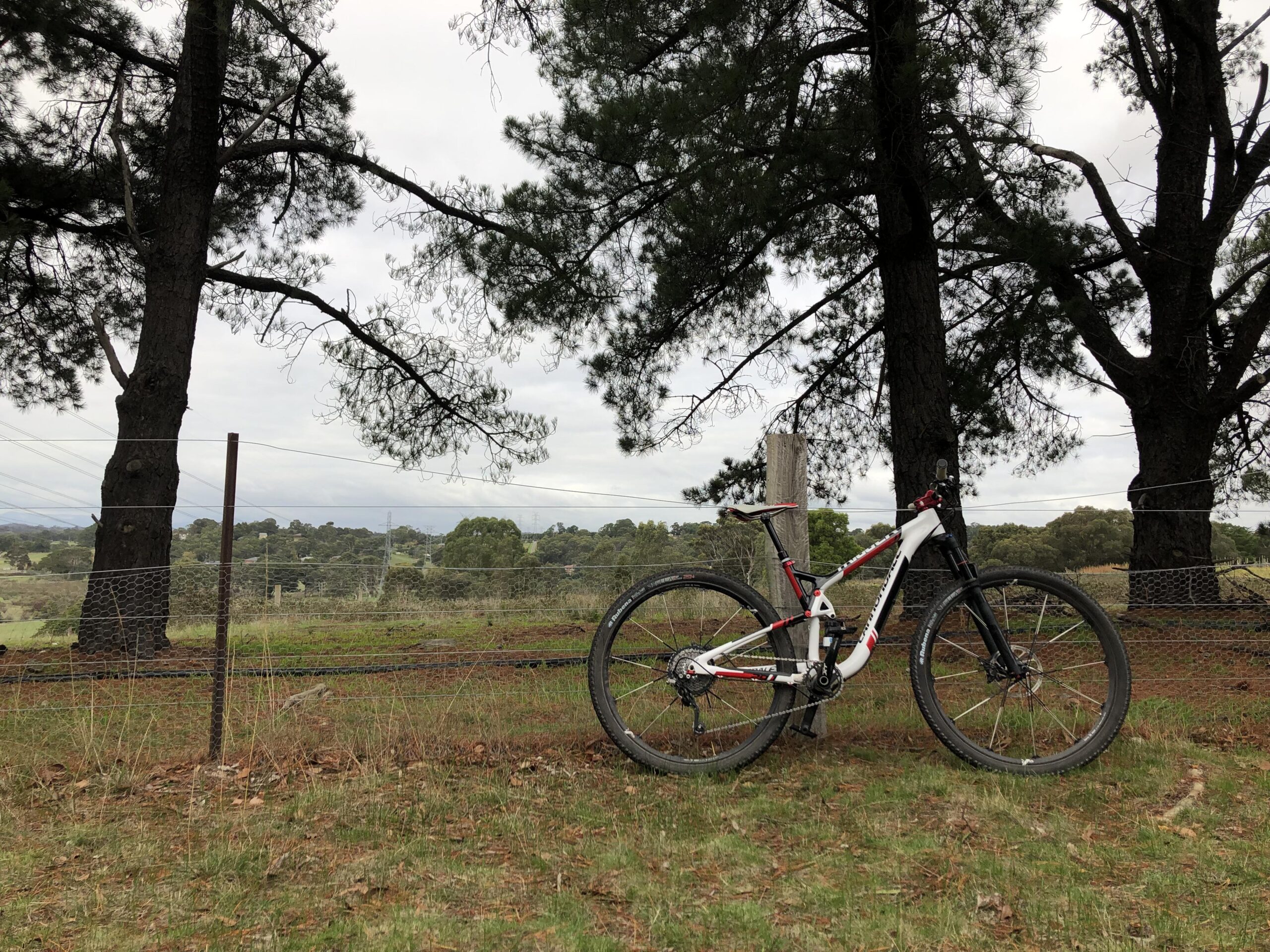 Cannondale Trigger 29 Carbon 1: A mountain bike leaning against a wooden post, with tall trees in the background and a cloudy sky overhead. The landscape features grassy ground and hints of distant hills, creating a serene outdoor scene.
