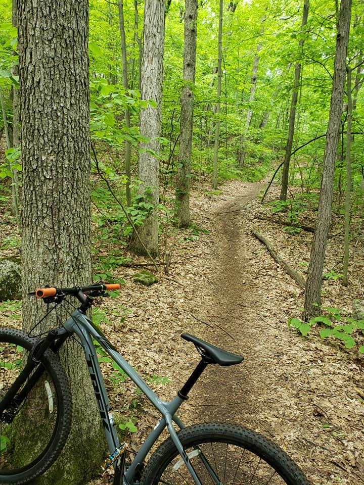 Mountain bike parked next to a dirt trail winding through a lush green forest, with tall trees and fresh foliage surrounding the path. Pontiac Lake mountain bike trail.