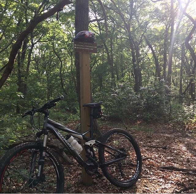 Specialized XC FSR: A mountain bike leaning against a post in a wooded area, with sunlight filtering through the trees. The post has a sign indicating bike trail information, and the ground is covered with leaves.