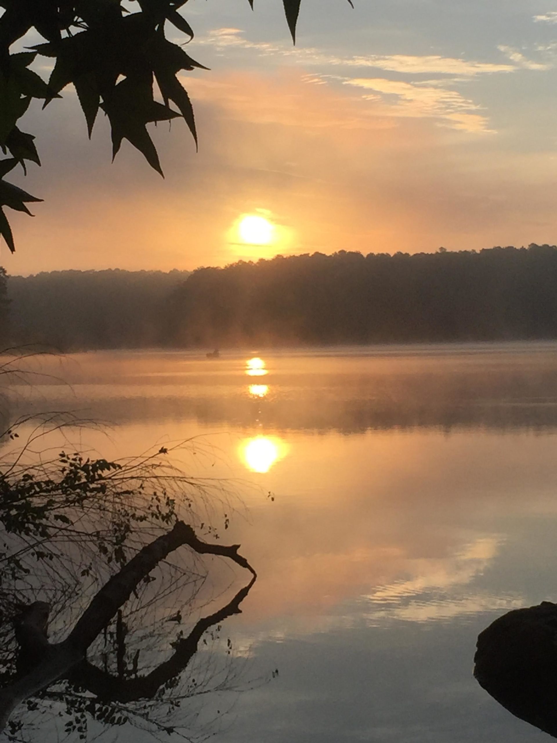 A serene sunrise over a calm lake, with soft sunlight reflecting on the water's surface. In the foreground, a silhouetted branch and leaves frame the image, while mist gently rises from the lake, creating a tranquil and peaceful atmosphere. The distant shore is partially obscured by trees, enhancing the natural beauty of the scene. Driftwood mountain bike trail.