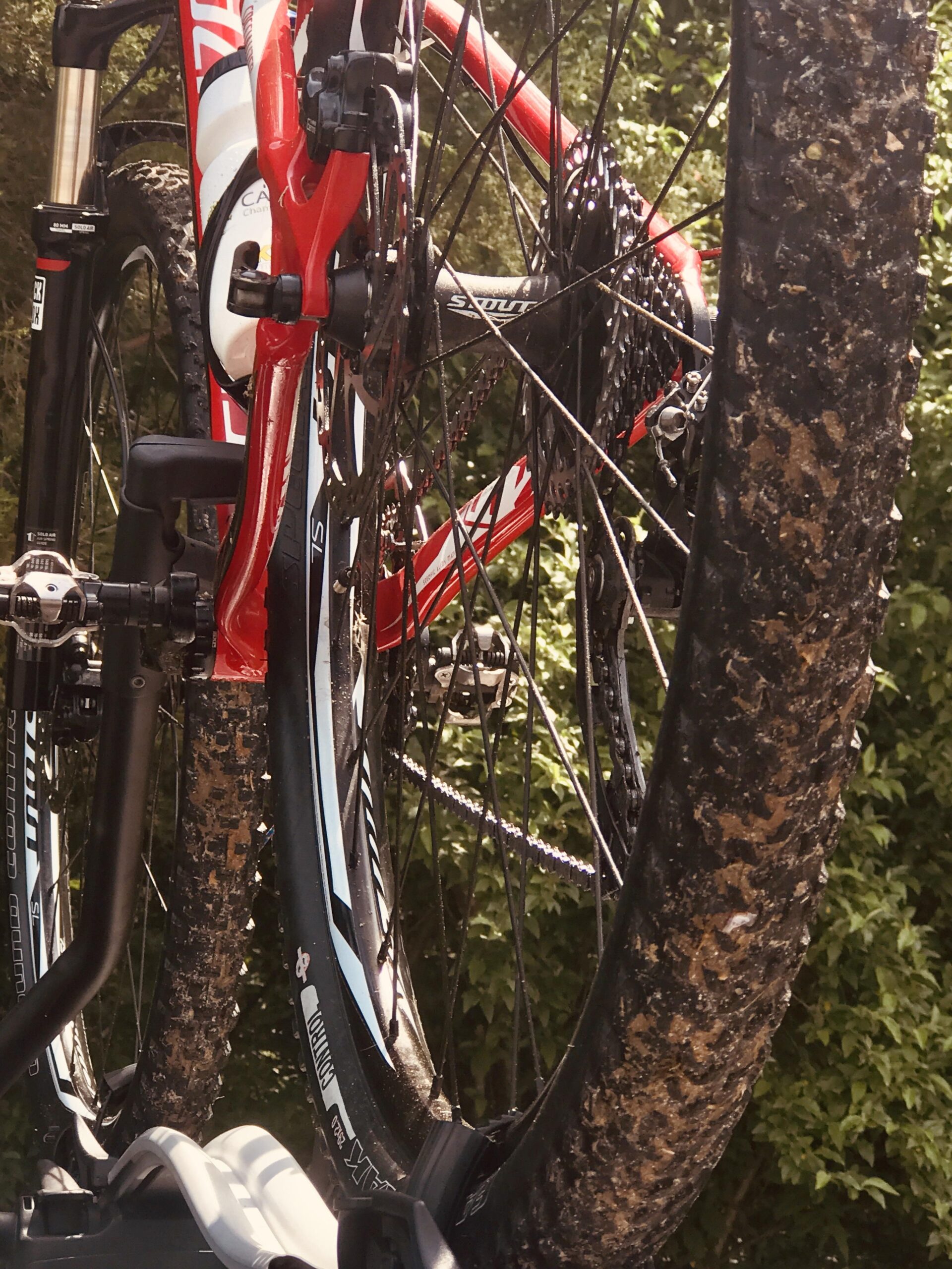 Specialized CRAVE 29: A close-up view of two mountain bike wheels mounted on a bike rack. The bike features a red frame with black and white accents, and the wheels have visible dirt and mud, indicating recent use on a trail. Lush green foliage is blurred in the background.