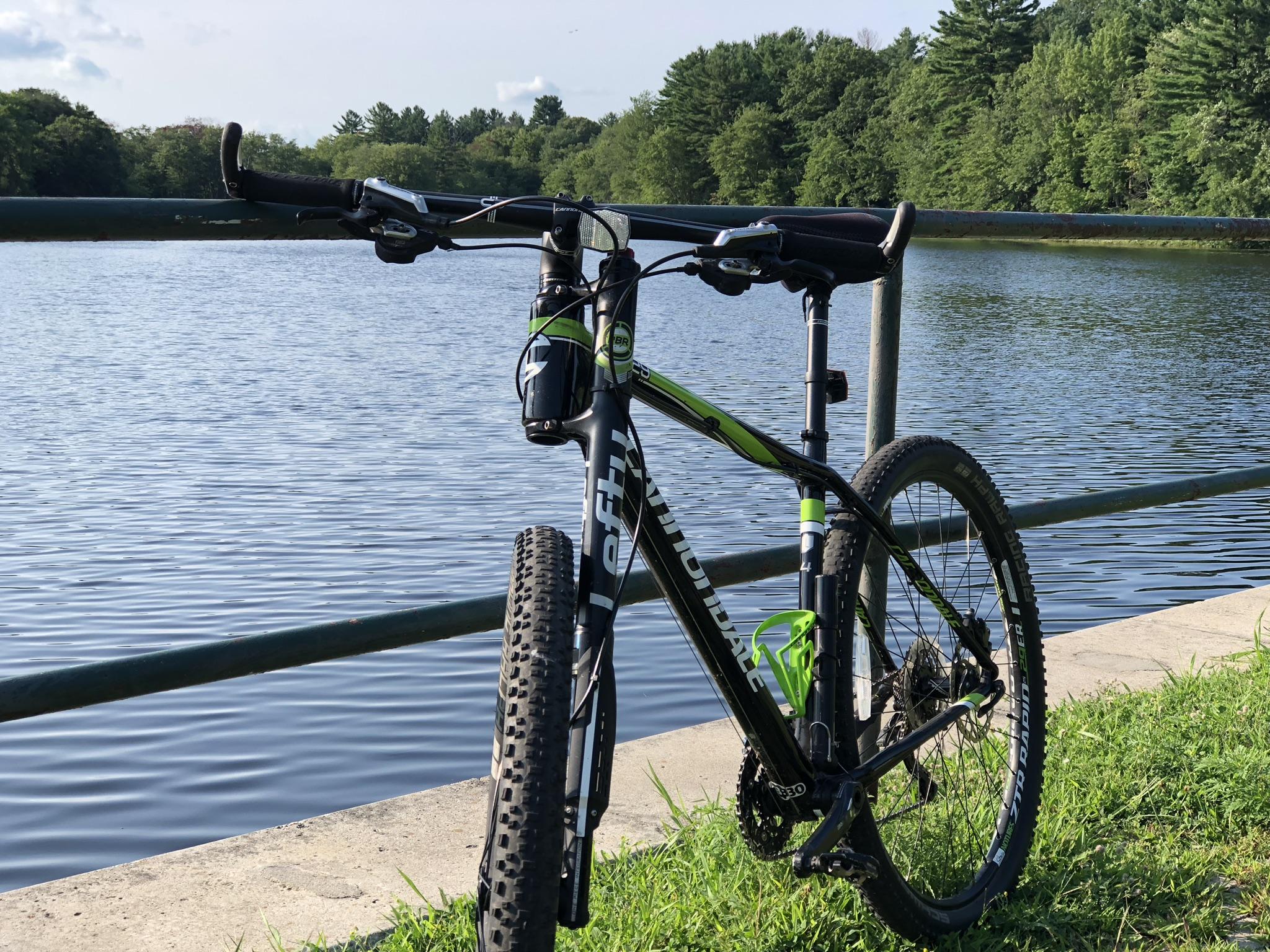 Cannondale F29 Carbon 4: A black and green mountain bike standing on a paved path next to a calm lake, with a green grassy area and trees in the background. The bike's front wheel is angled towards the camera, and a railing runs alongside the lake.