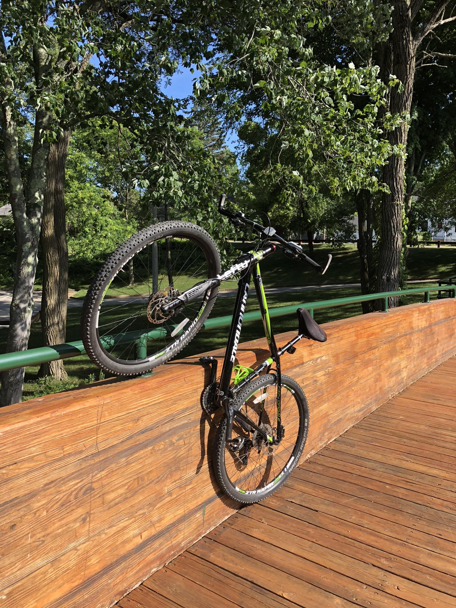Cannondale F29 Carbon 4: A black and green mountain bike resting on a wooden railing, with its front wheel propped up against the rail and the back wheel on the ground. The background features lush green trees and a clear blue sky, indicating a sunny day.
