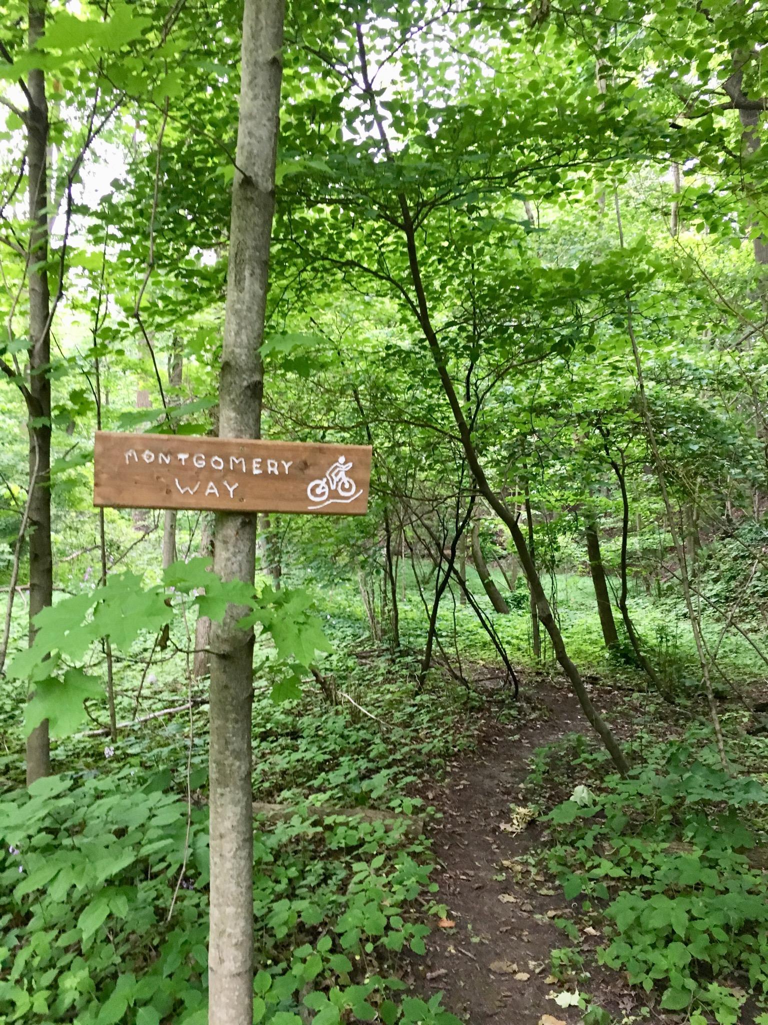A wooden sign reading "Montgomery Way" with a bicycle icon is mounted on a tree, surrounded by lush green foliage and a narrow path leading into a dense forest. Swance Drain mountain bike trail.