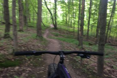 A blurred view from the handlebars of a mountain bike, showing a winding dirt path through a dense green forest with tall trees and scattered leaves on the ground. Maybury mountain bike trail.