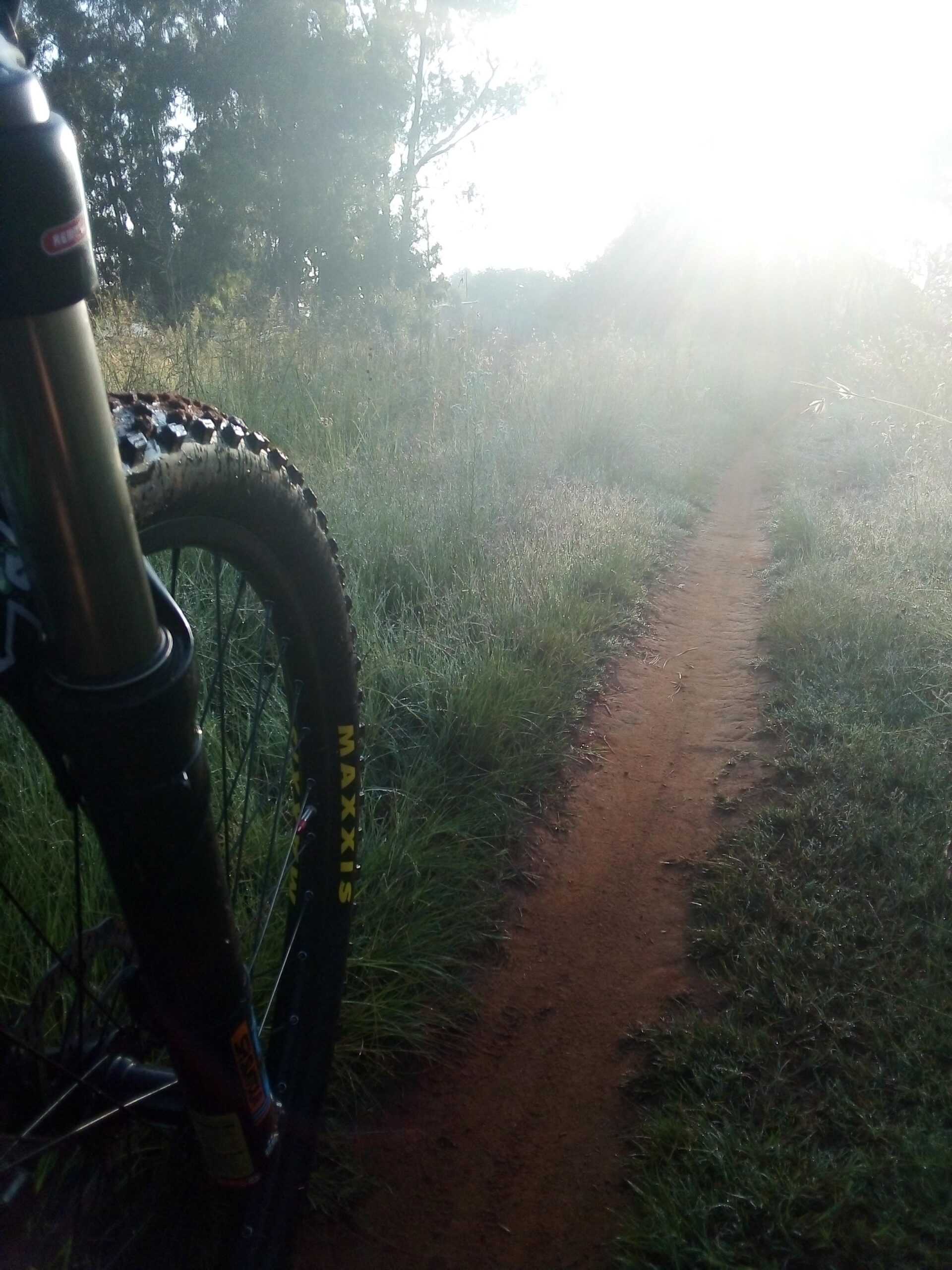 GT Helion Comp: A close-up view of a mountain bike's front tire on a dirt path surrounded by tall grass, with the sun rising in the background, casting a warm glow over the landscape.