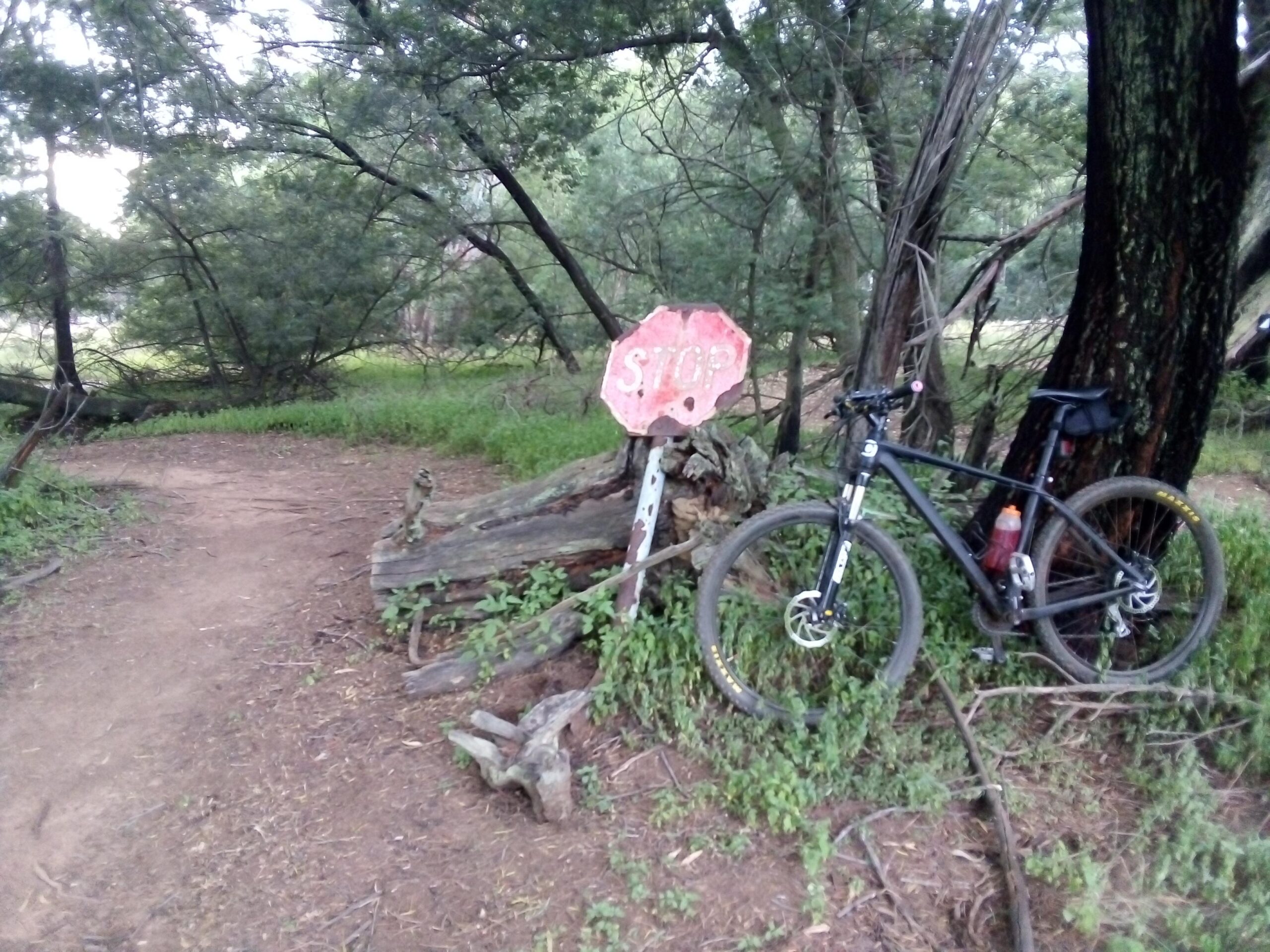 GT Helion Comp: A worn "STOP" sign next to a dirt path in a wooded area, with a mountain bike leaning against a tree. Lush greenery surrounds the scene, indicating a natural landscape.
