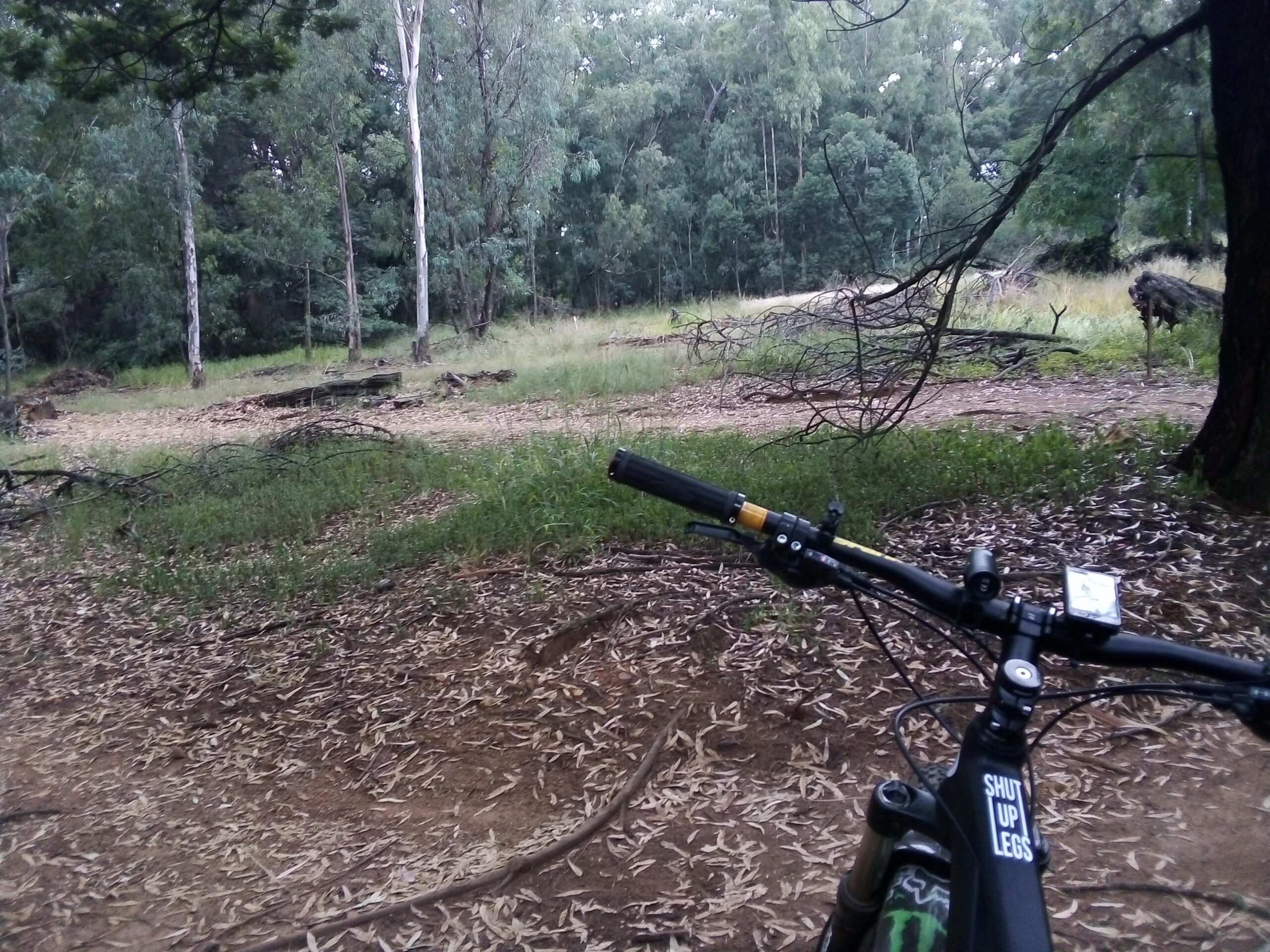 GT Helion Comp: A view of a forested area with tall trees and scattered foliage, taken from the perspective of a mountain bike. The bike's handlebars and gear display are visible in the foreground, while a path made of dirt and leaves leads into the greenery ahead. The scene captures a serene outdoor environment, perfect for biking or hiking.