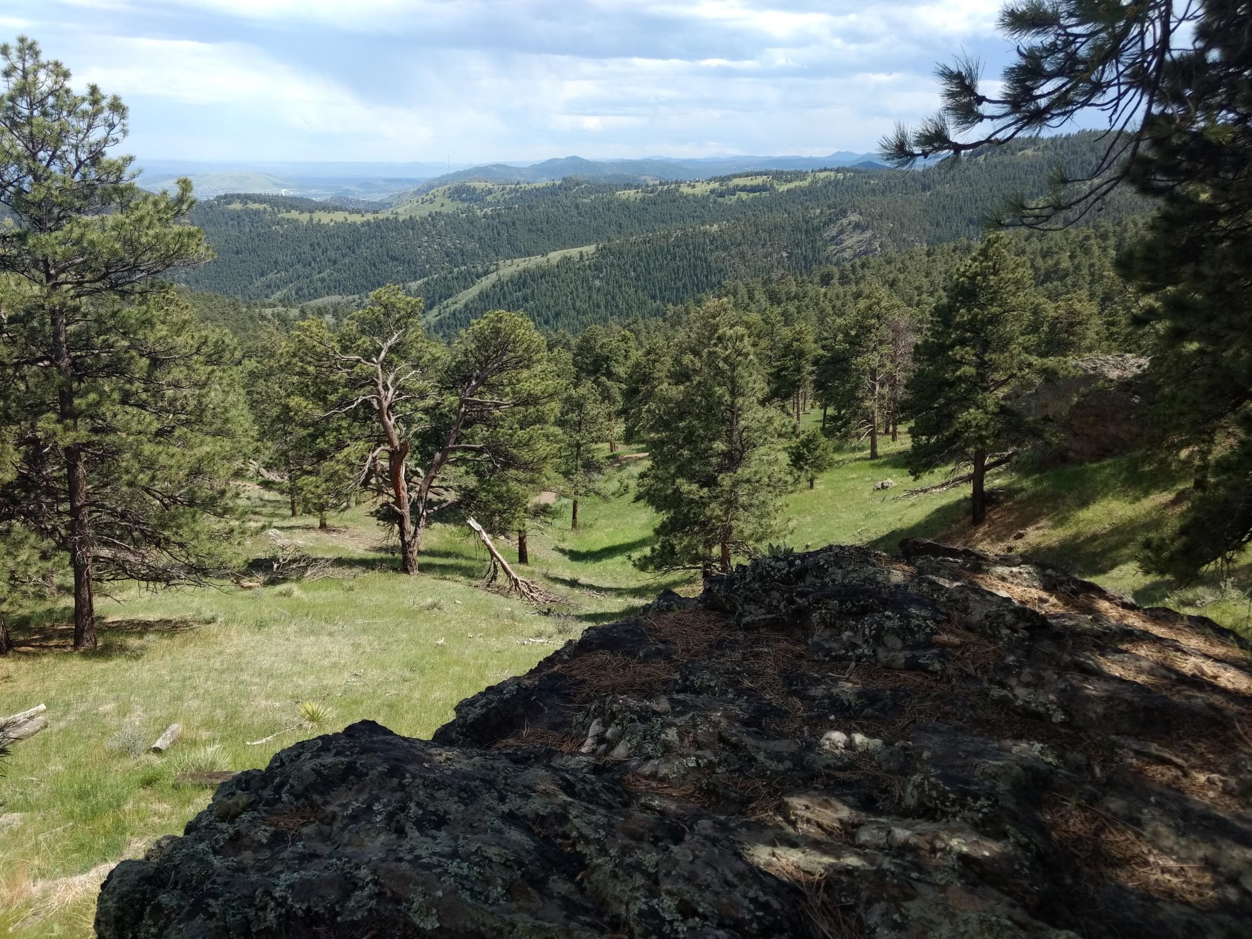 Scenic view of a mountainous landscape featuring dense clusters of pine trees, rolling hills, and a rocky foreground. The sky is partially cloudy, with a hint of blue peeking through, creating a serene natural setting. White Ranch mountain bike trail.