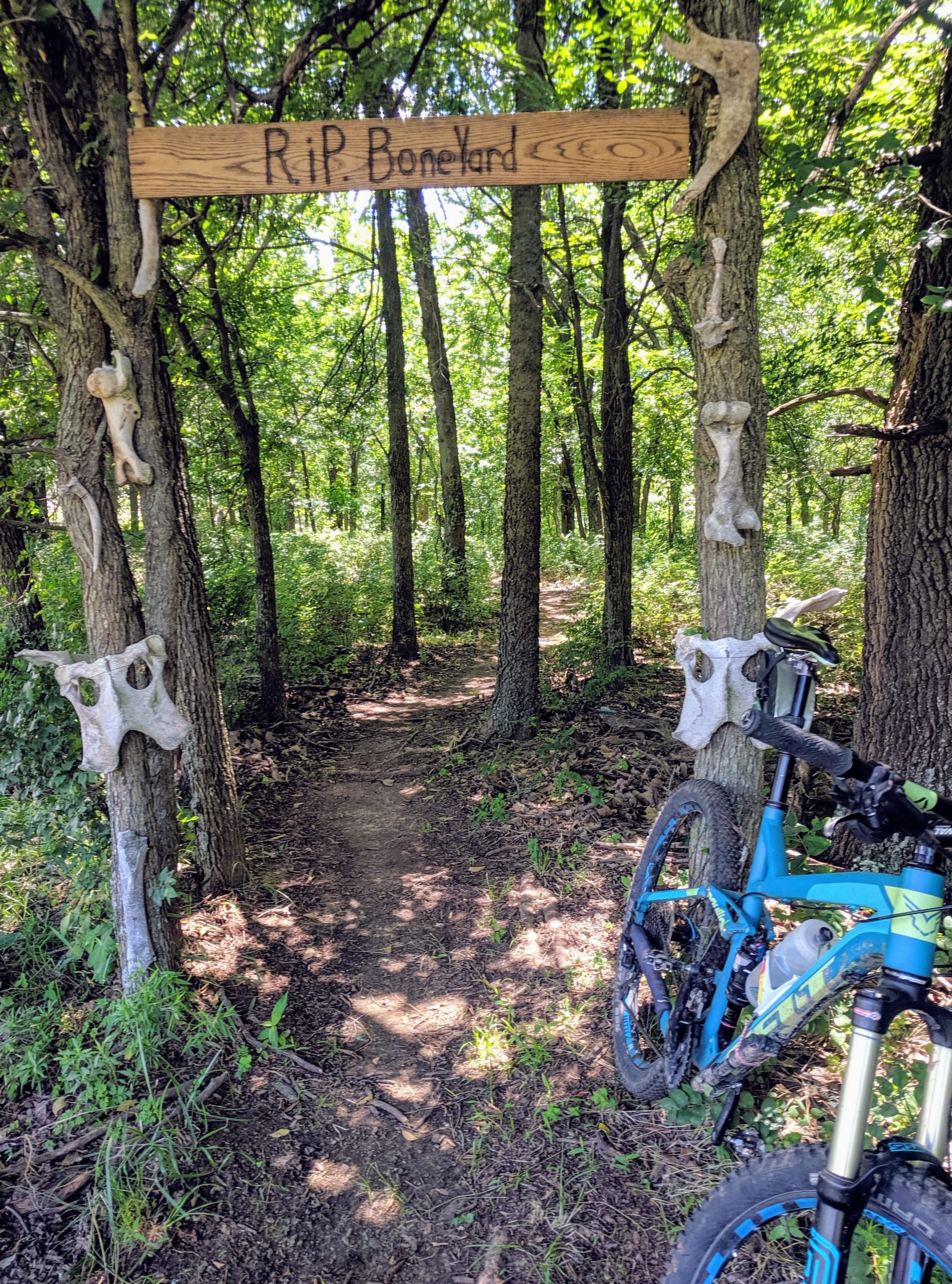 A wooded trail entrance marked by a wooden sign reading "R.I.P. BoneYard," with various animal bones attached to nearby trees. A blue mountain bike is leaning against one of the trees, and the path leads deeper into the forest. Sunlight filters through the leaves, illuminating the scene. Claremore mountain bike trail mountain bike trail.