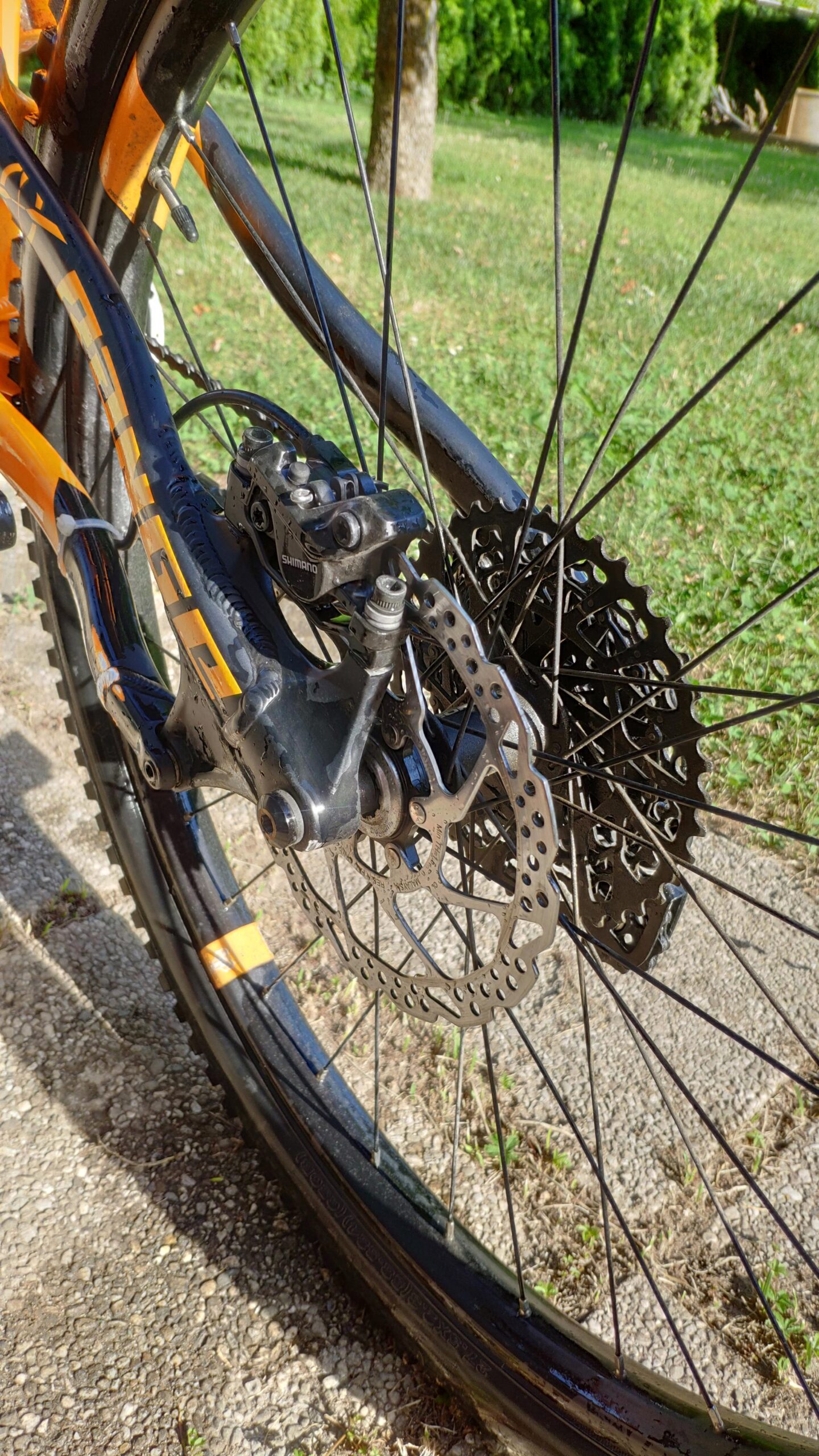 Norco Norco Range A7.3: Close-up view of a mountain bike's rear wheel, showcasing the rear disc brake and cassette. The bike features an orange frame with black components, set against a grassy background and gravel surface, illuminated by natural sunlight.