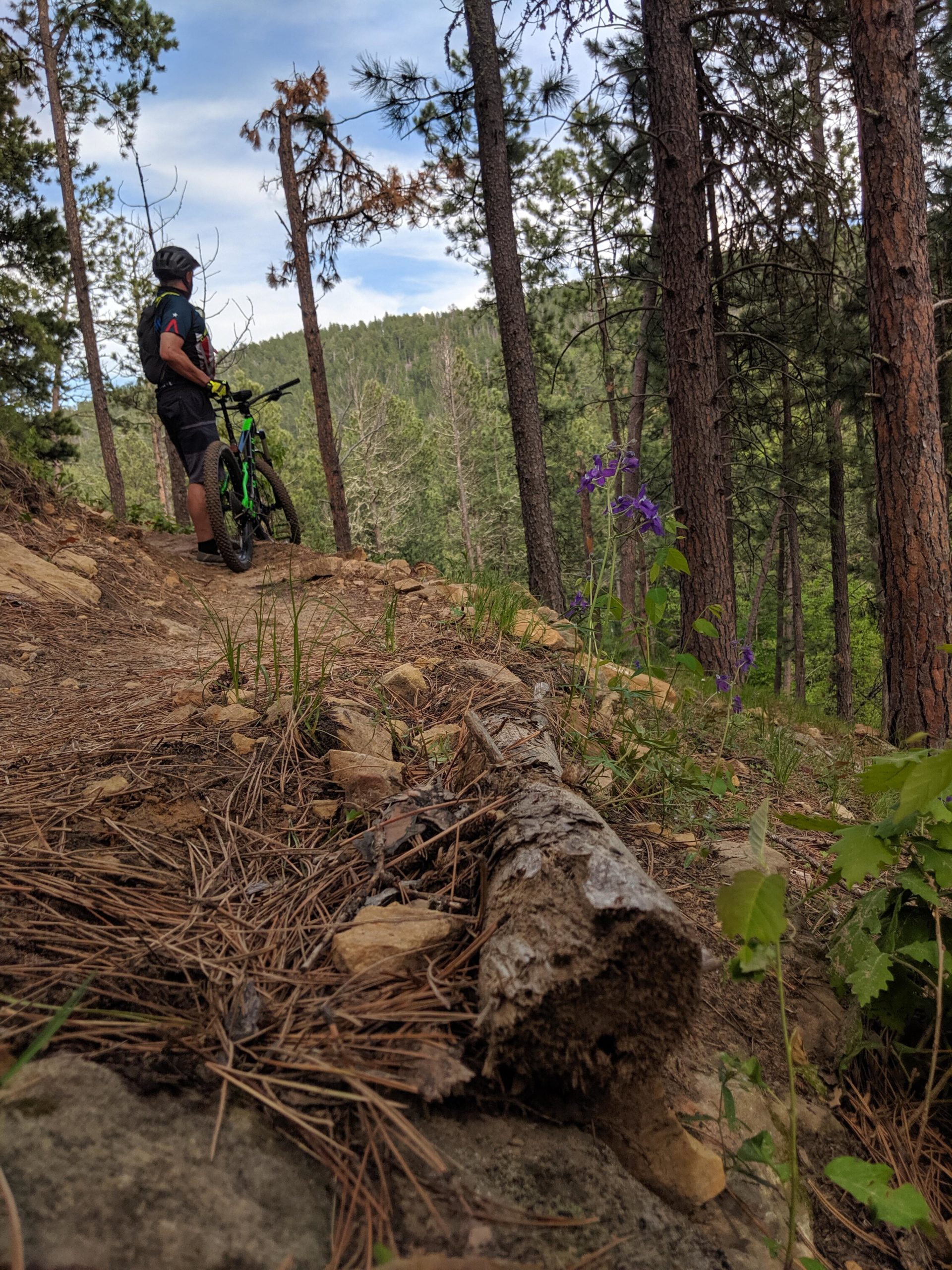 A person with a bicycle stands on a narrow, winding trail surrounded by tall pine trees. In the foreground, a fallen log and patches of grass are visible, while a few purple wildflowers add a splash of color. The background features a hillside covered in trees under a partly cloudy sky. Tinton to Aspen hills mountain bike trail.