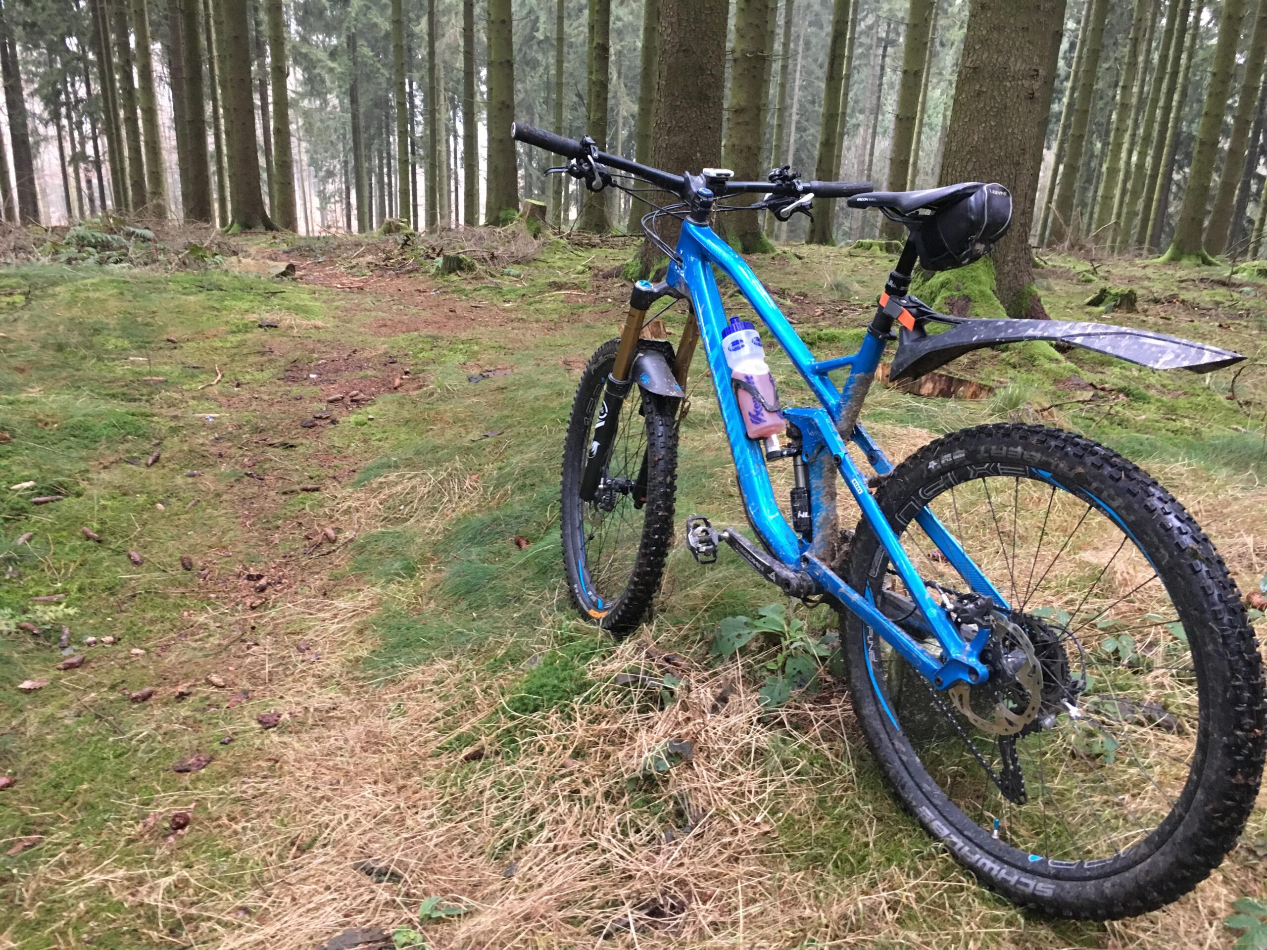 Canyon Strive CF: A blue mountain bike leaning against a tree in a forest, surrounded by mossy ground and tall trees. The bike is equipped with a water bottle attached to the frame and has a slightly muddy appearance, suggesting recent use.