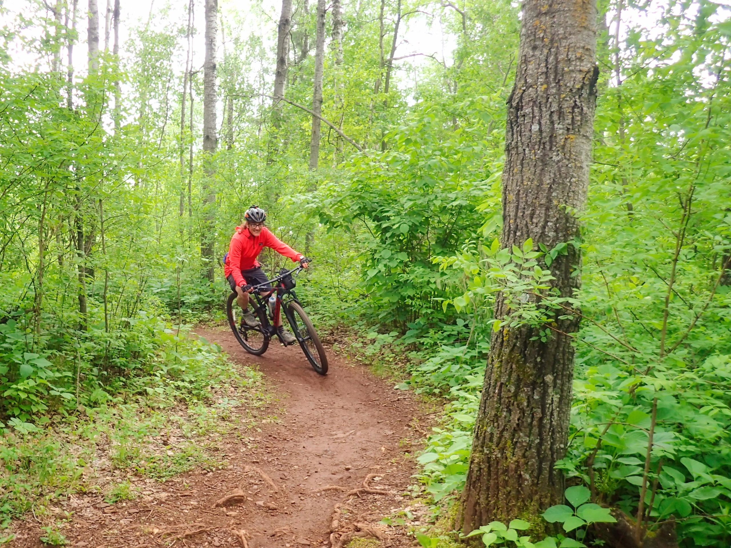 A person wearing a red jacket and helmet rides a mountain bike on a dirt trail surrounded by lush greenery and trees in a forest. Cuyuna Lakes mountain bike trail.