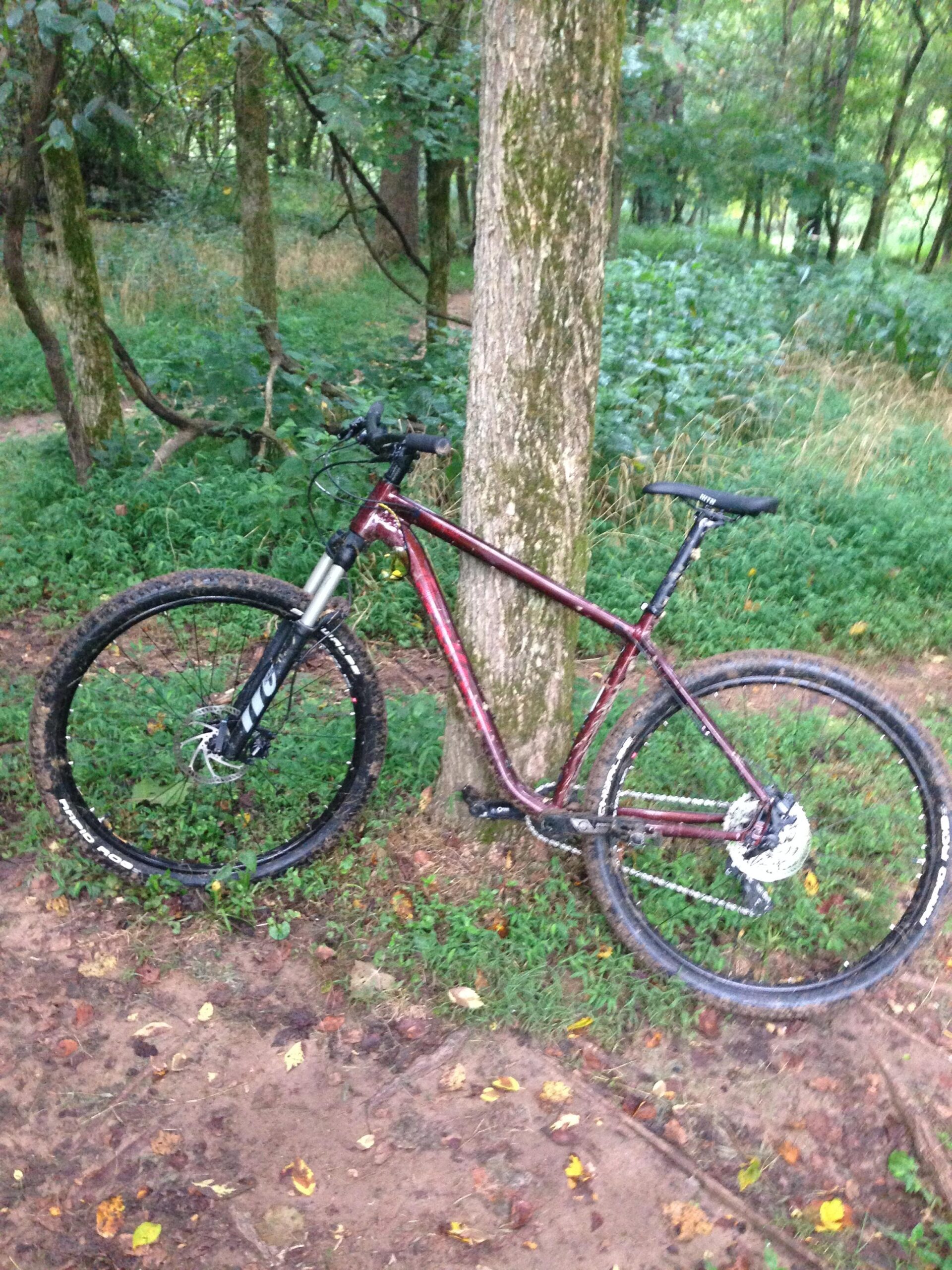 Salsa Timberjack: A mountain bike resting against a tree in a wooded area, surrounded by greenery and fallen leaves. The bike features a red frame and muddy tires, indicating recent use on a dirt trail.