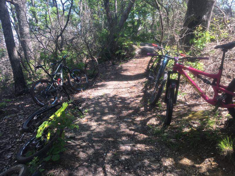 A narrow dirt path surrounded by greenery, with several mountain bikes parked on the side. Sunlight filters through the trees, creating a dappled light effect on the ground. Weed Patch Mountain Trail mountain bike trail.