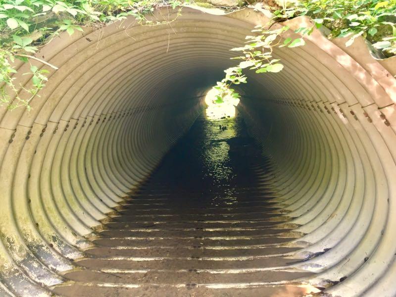 A view looking down a corrugated metal tunnel lined with water, partially illuminated by natural light coming from the open end. The sides of the tunnel are surrounded by green foliage, creating an inviting yet mysterious ambiance. The floor of the tunnel reflects the light and water, enhancing the texture of the scene. Middle Run Natural Area mountain bike trail.