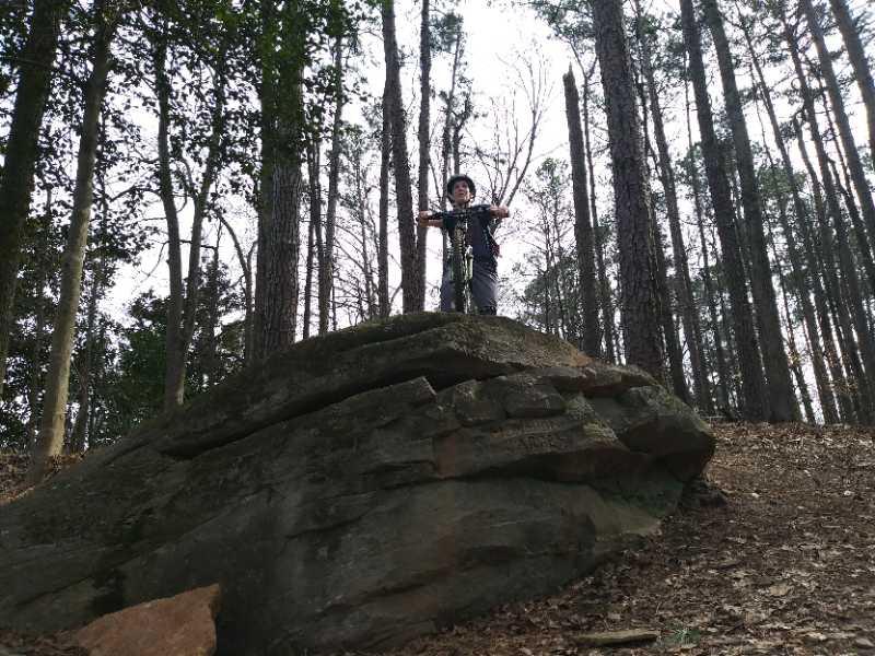 A child standing triumphantly on top of a large rock in a dense forest, surrounded by tall trees. The child has arms outstretched and a joyful expression, with a path winding through the leaf-covered ground. The scene captures a sense of adventure and exploration in nature. Big Creek mountain bike trail.