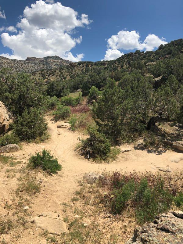 A winding dirt path leads through a natural landscape with shrubs and rocky outcrops under a blue sky with fluffy white clouds. Surrounding hills are covered in greenery, creating a serene outdoor setting. Palisade Rim mountain bike trail.