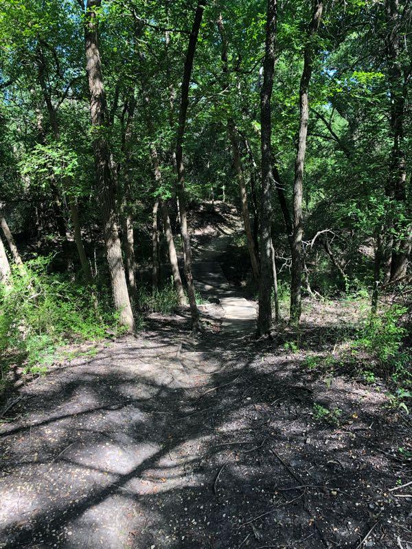 A narrow dirt path winding through a densely wooded area, surrounded by tall trees and lush green foliage, with dappled sunlight filtering through the leaves. Cedar Hill State Park At Joe Pool Lake mountain bike trail.