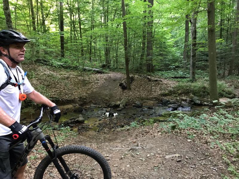 A person in a helmet and cycling gear stands next to a mountain bike on a dirt path in a lush green forest. To the side, a small stream flows among rocks, and the trail forks into the woods ahead. The scene is framed by tall trees with green foliage. Rappahanock River Trail mountain bike trail.