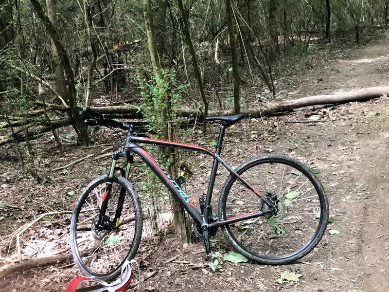 A black and red mountain bike leaning against a tree in a wooded area, with a dirt path visible in the background surrounded by trees and foliage. Wolf River Trail mountain bike trail.