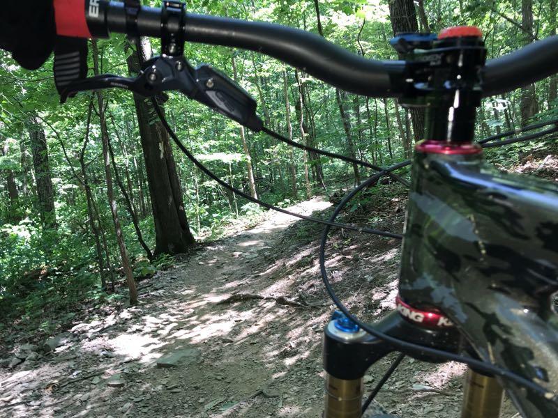 Alt tag: Close-up view of a mountain bike handlebar and frame with a twisting dirt trail visible ahead, surrounded by lush green trees in a forested area. Lake Fairfax mountain bike trail.