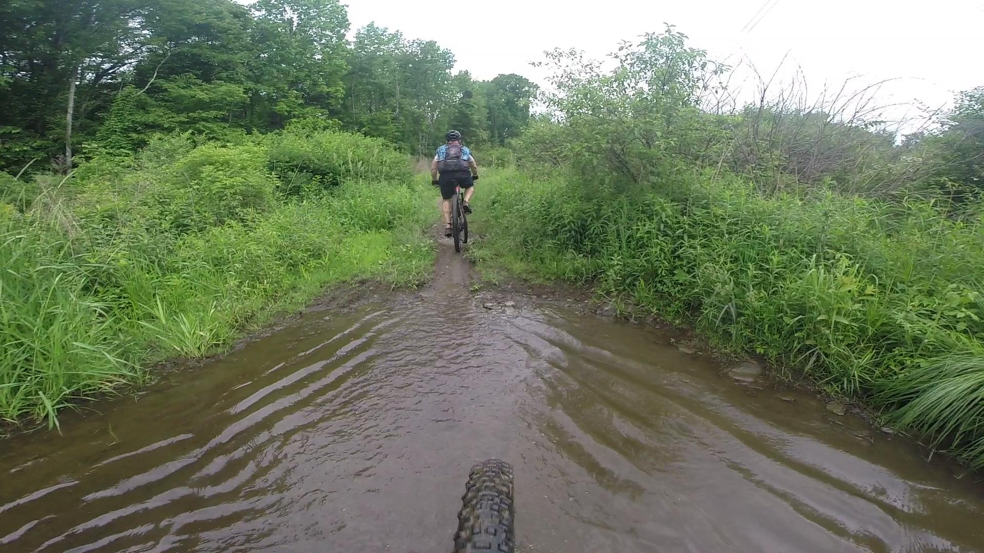 A person riding a mountain bike on a muddy trail with water, surrounded by lush greenery and trees under a cloudy sky. Stewart State Forest mountain bike trail.