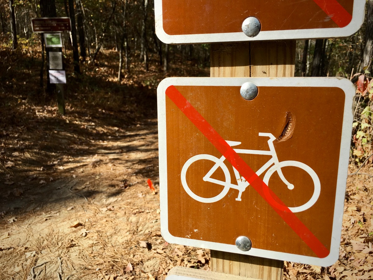 Survey Should Trails in Wilderness Areas be Open to Mountain Bikes
