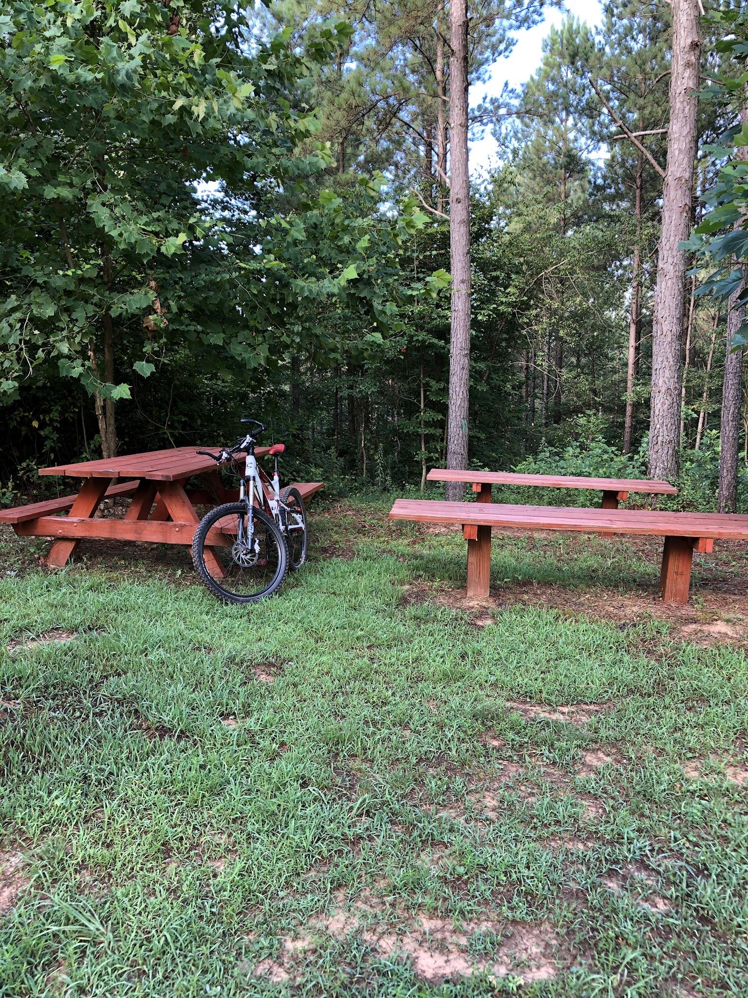 A peaceful outdoor setting featuring two wooden picnic tables surrounded by tall trees and lush greenery. A mountain bike is leaned against one of the tables. The scene conveys a sense of tranquility and is ideal for outdoor gatherings or activities. Talking Rock Nature Preserve mountain bike trail.