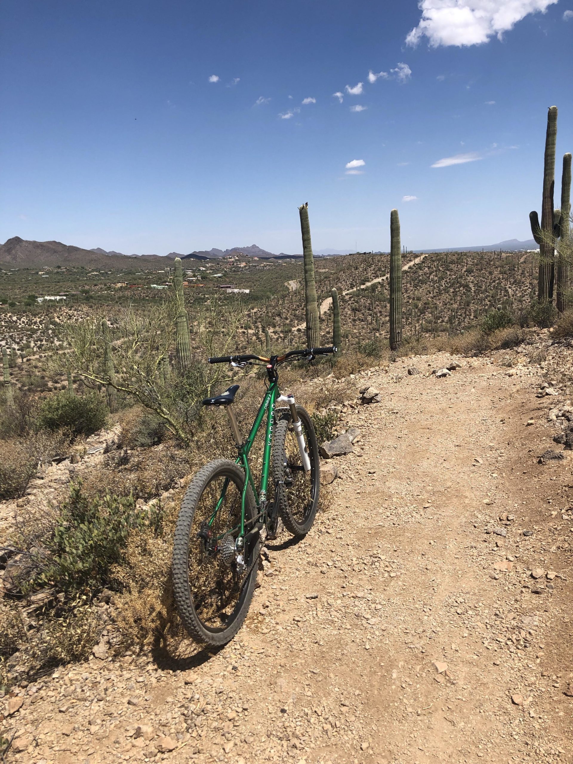 A green mountain bike rests on a dirt trail surrounded by desert vegetation and cacti, with rolling hills and a clear blue sky in the background. The landscape features a mix of mountains and sparse greenery typical of a desert environment. Tucson Mountain Park mountain bike trail.