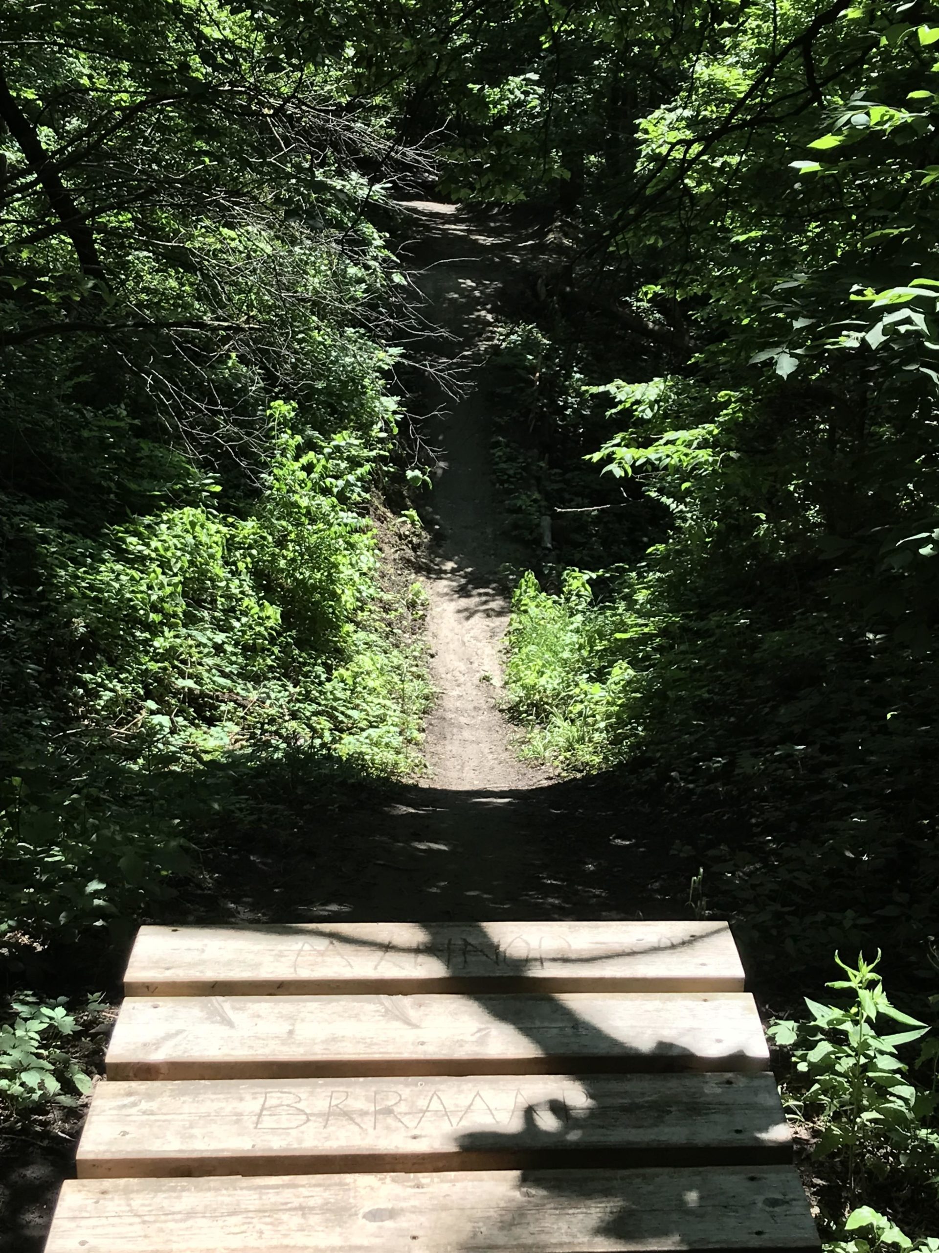 A wooden ramp leading down a dirt path surrounded by lush greenery and trees. The path is faintly visible as it meanders through the dense vegetation. The sun filters through the leaves, casting soft shadows on the ground. Lewis And Clark Monument mountain bike trail.
